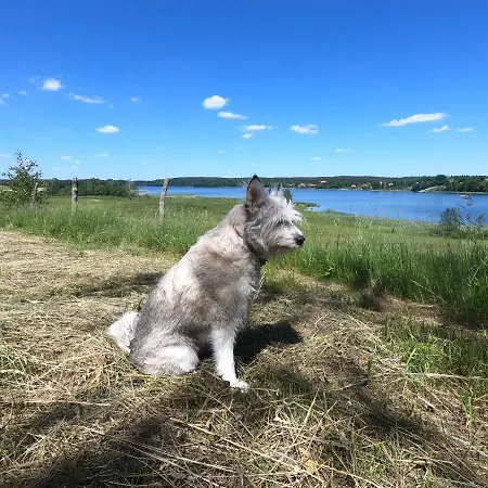 Domek Nad Jeziorem