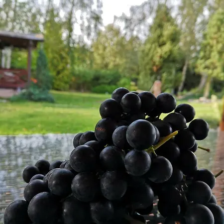 Domek Nad Jeziorem Parque de Campismo Stare Jabłonki
